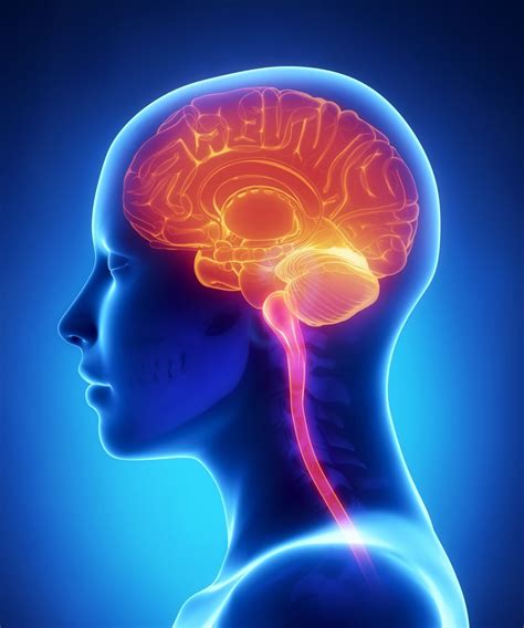 multiple system atrophy msa.